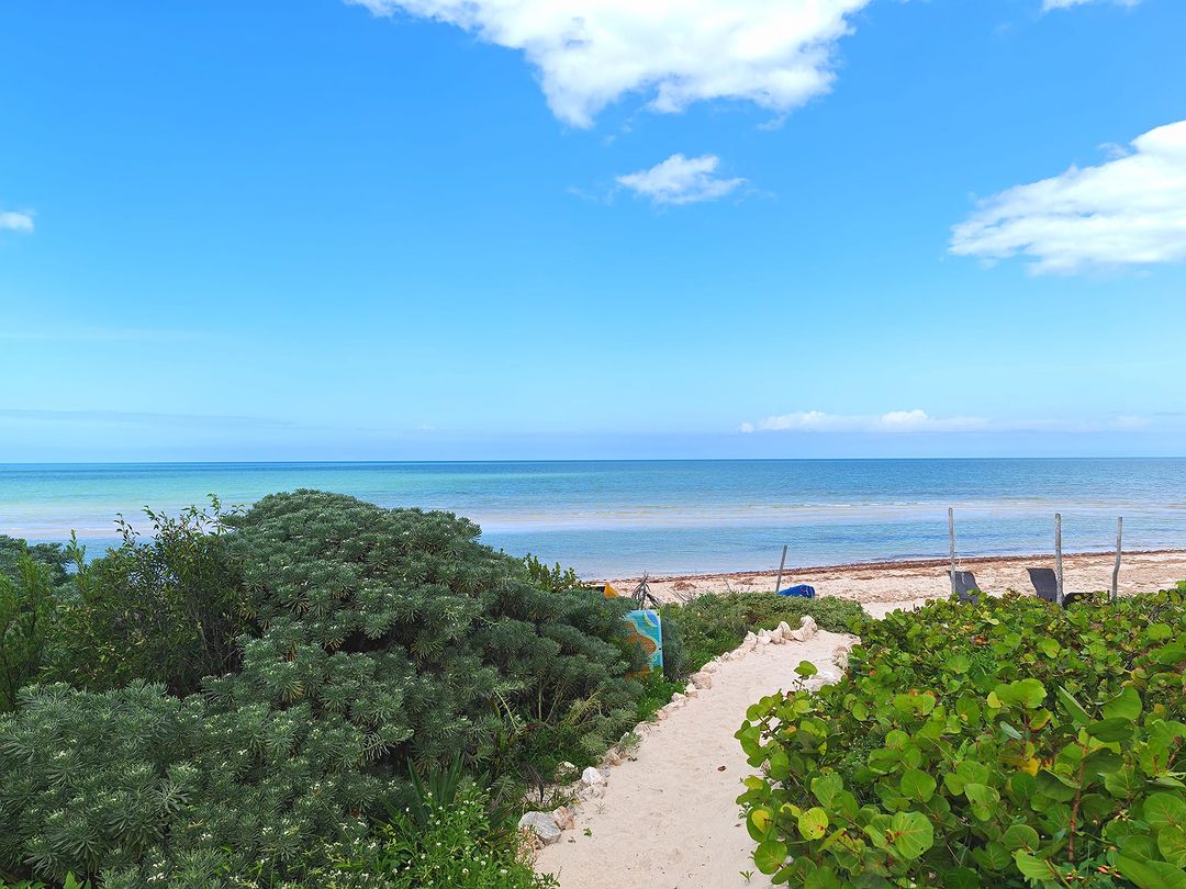 ¿Por qué Sisal es un refugio de playas vírgenes y vida marina?